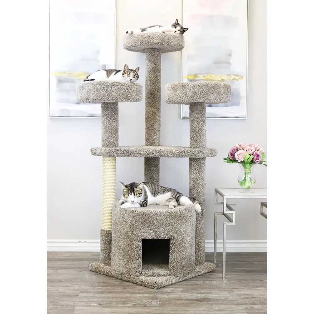 Furniture & Enrichment 61" 24.00" 61.00"