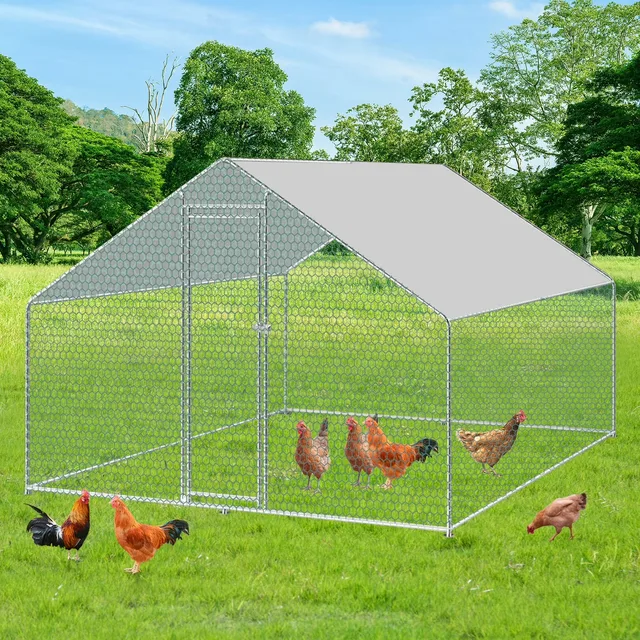 Chicken Coop 10ft 10' 6.6'