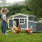 Chicken Coop