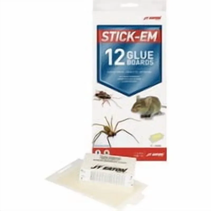 Insect