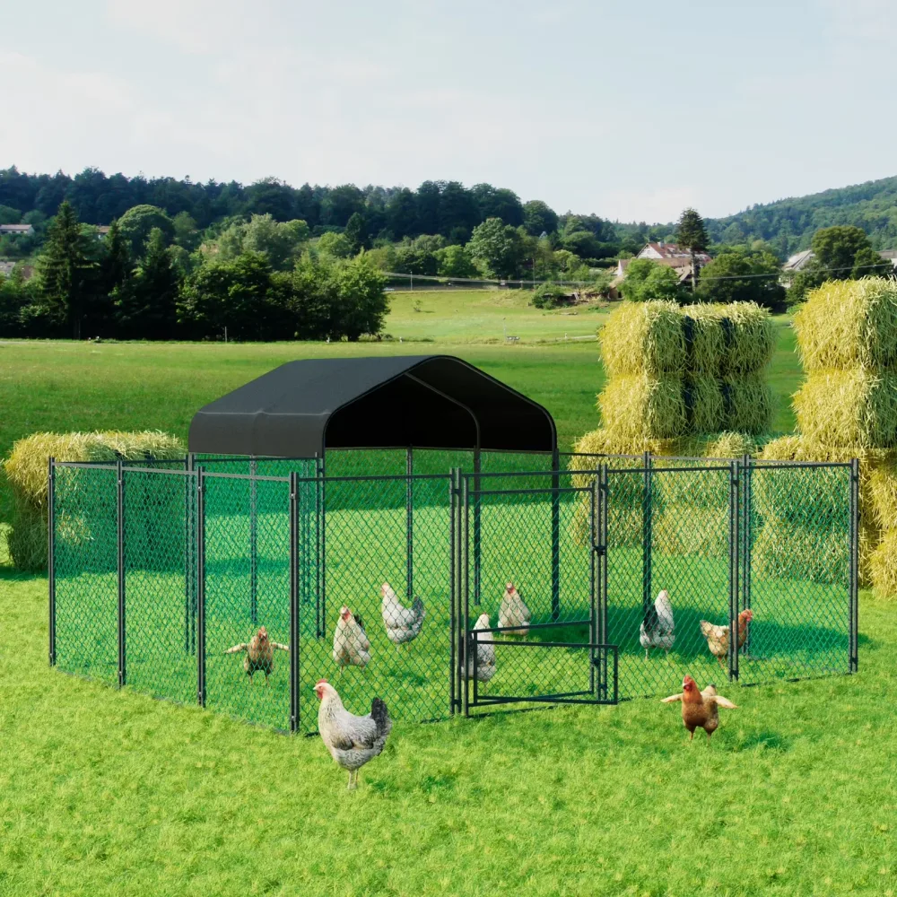 Chicken Coop 10.2' 12.9' 3.6'