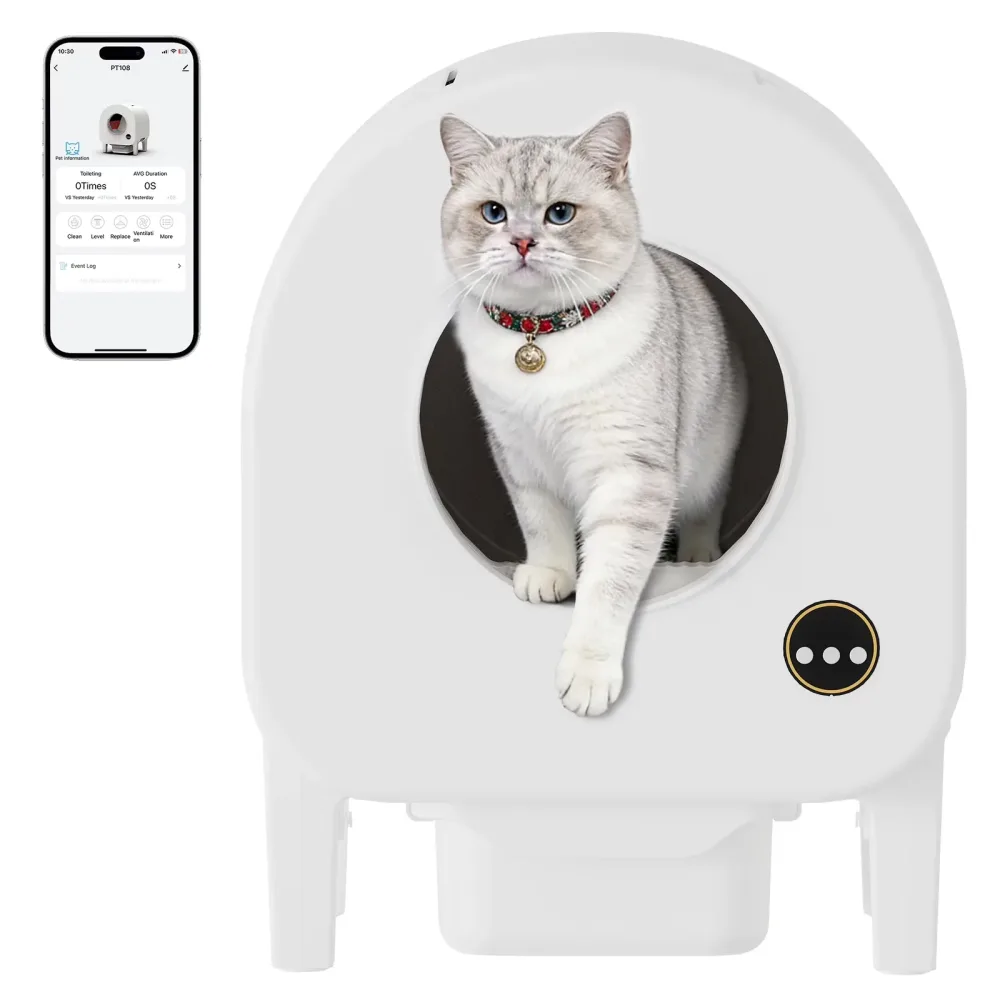 Cat Litter