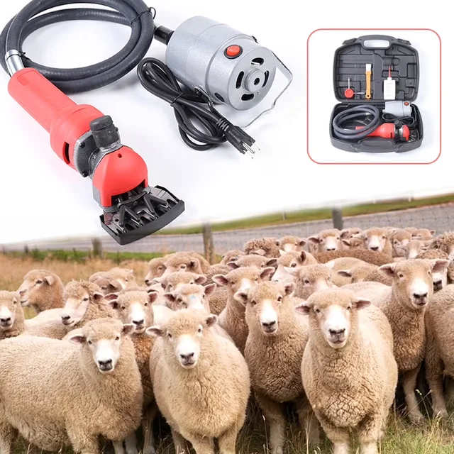 Health & Grooming 1200w 110v 63inch