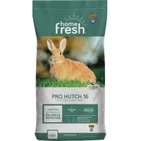 Hutch