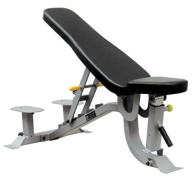 Adjustable Weight 2 in 3 in
