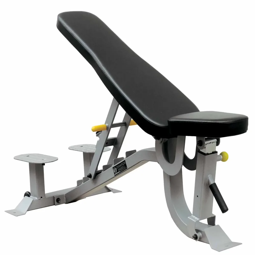 Adjustable Weight 2 in 3 in