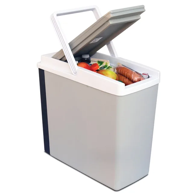 Electric Cooler 12v gray 8.75 inch
