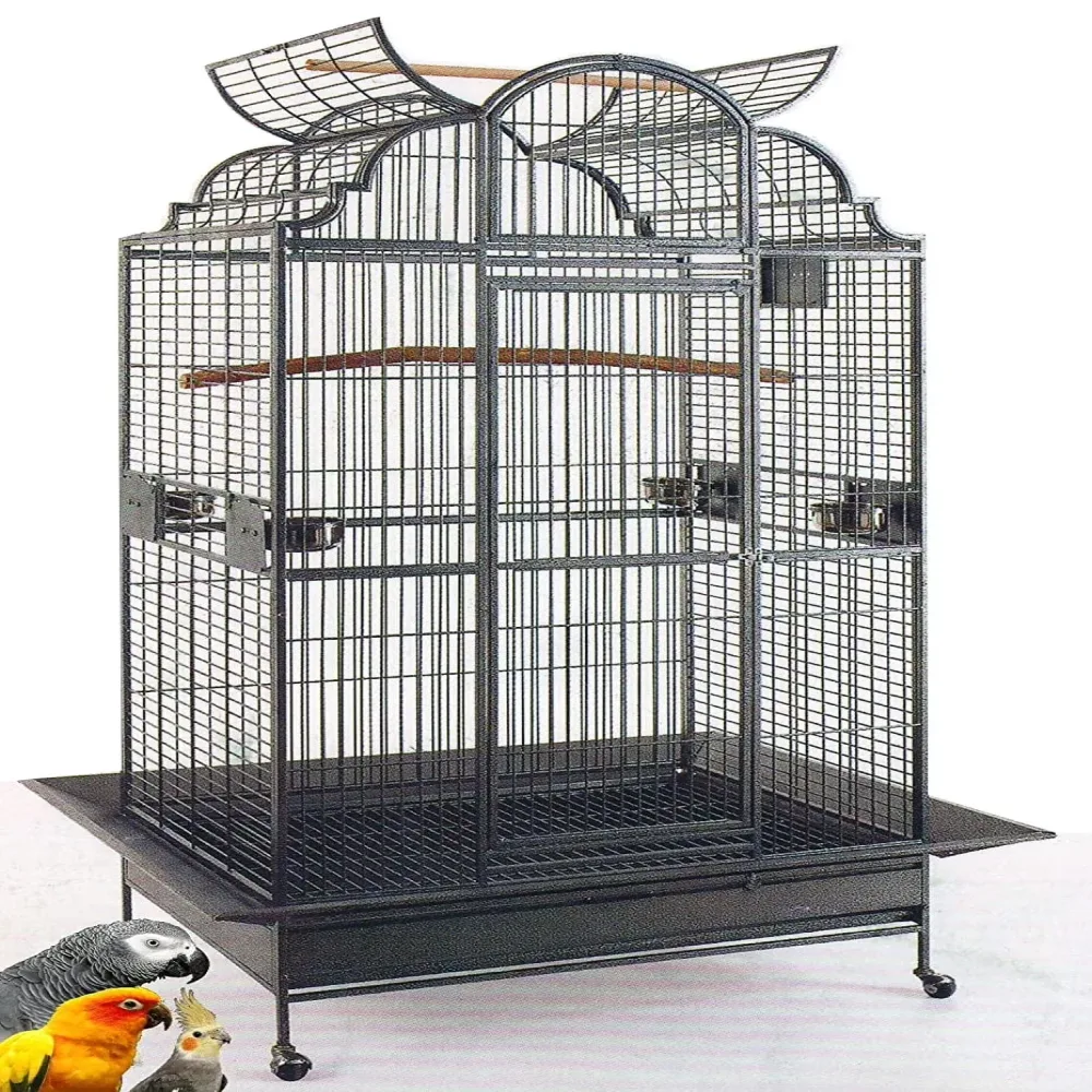 Bird Parrot 24" 22" 50"