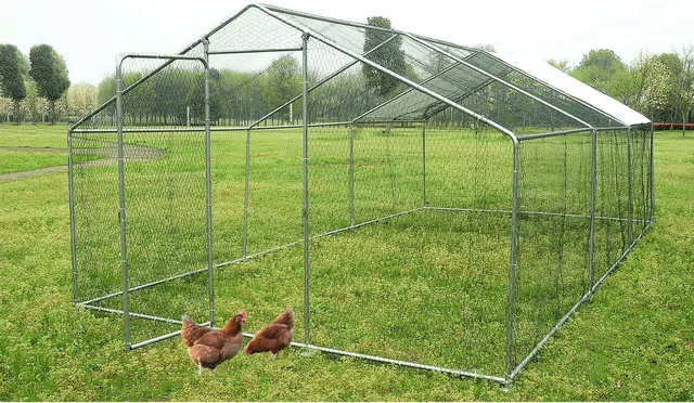 Chicken Coop 6 ft 6.56 ft 10 w