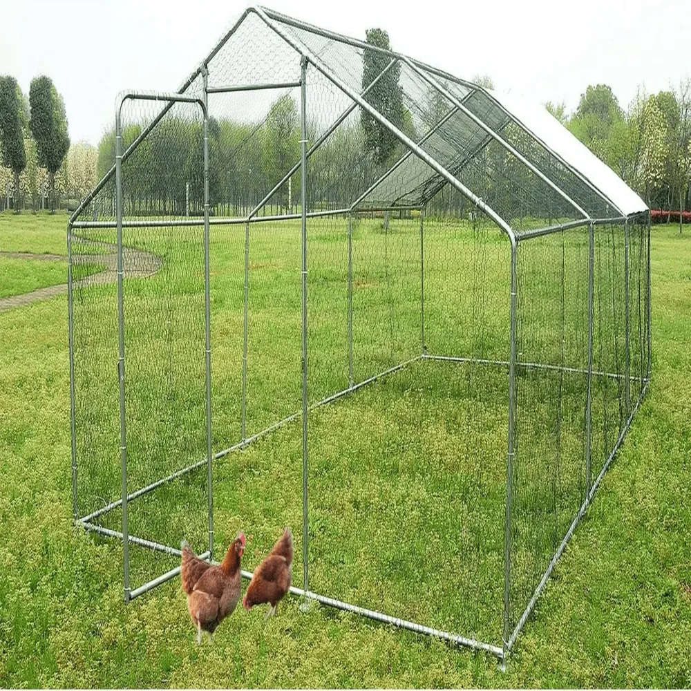 Chicken Coop 6 ft 6.56 ft 10 w