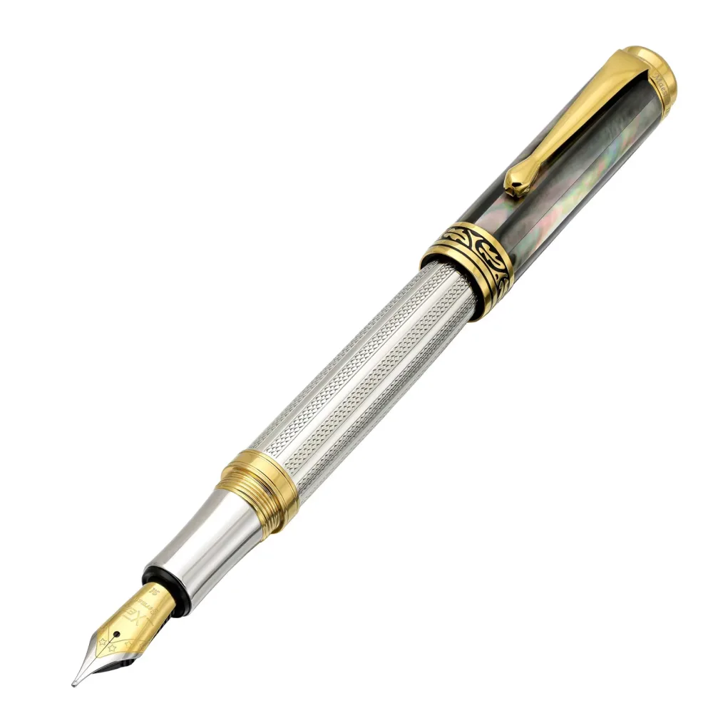 Fountain Pen silver black
