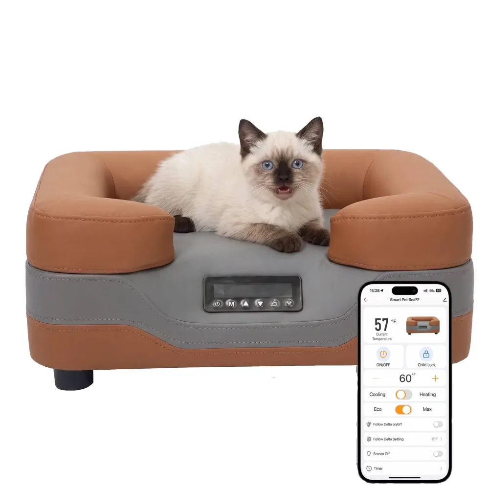 Sofa Bed adjustable
