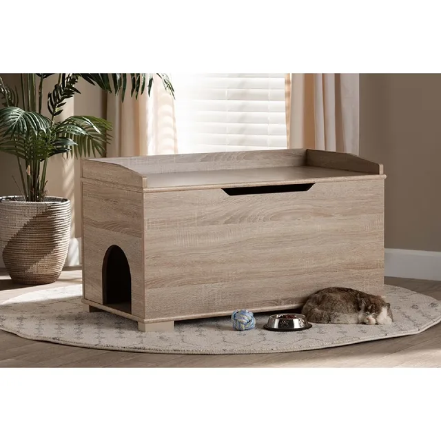 Cat Litter