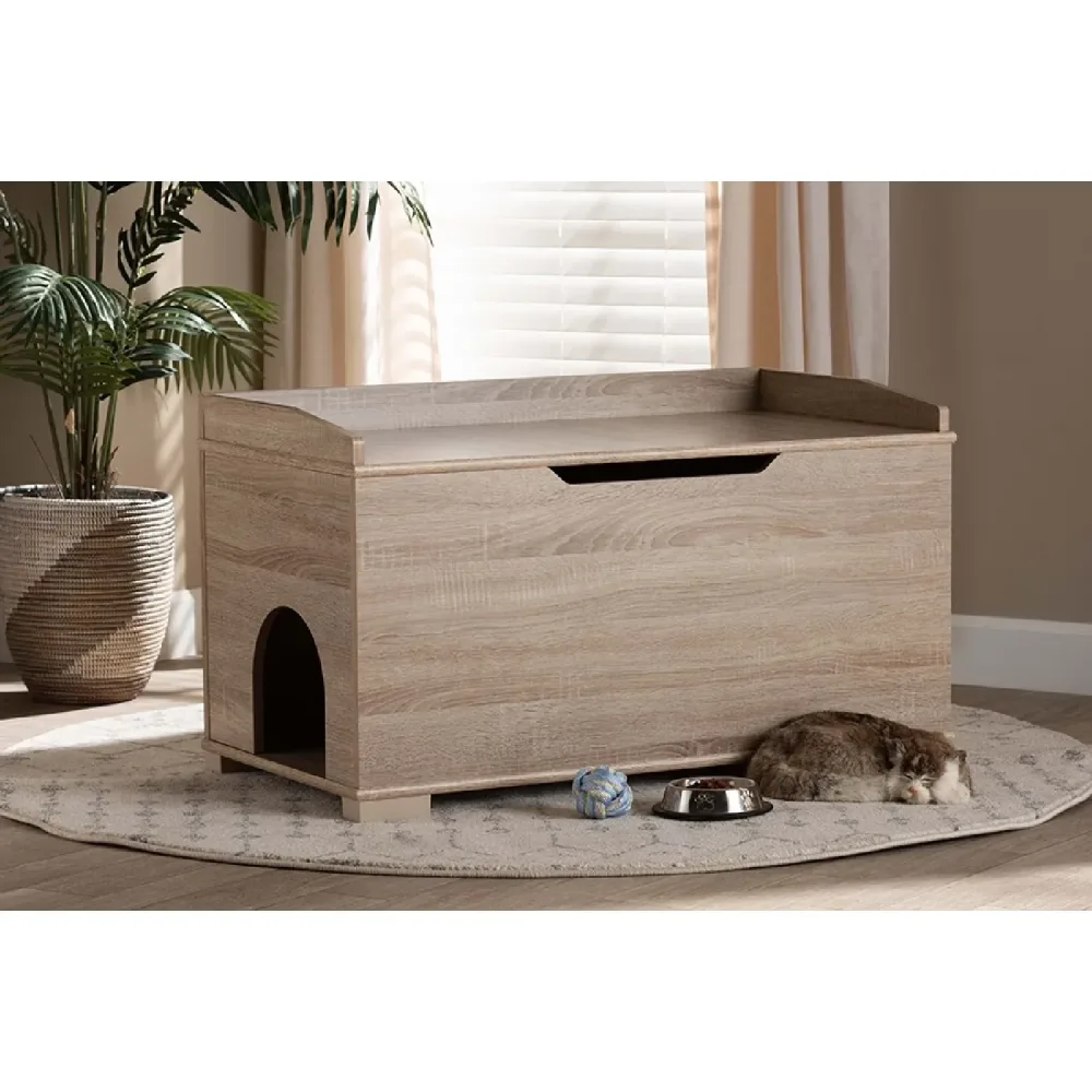 Cat Litter