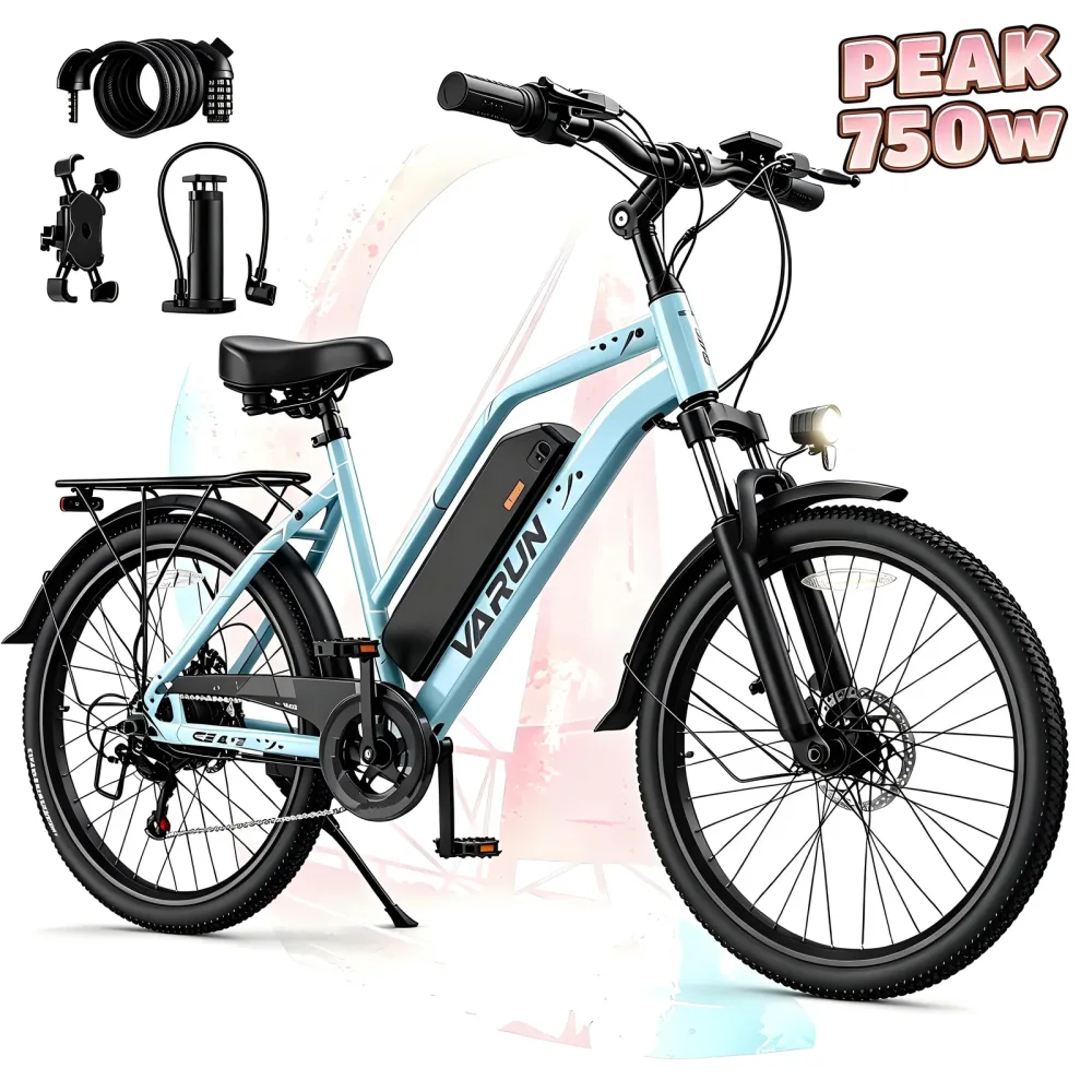 Electric Bike 24" 750w 48v