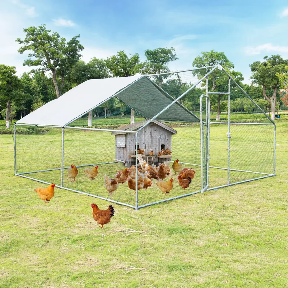 Chicken Coop 13' 6.5' 1.25'