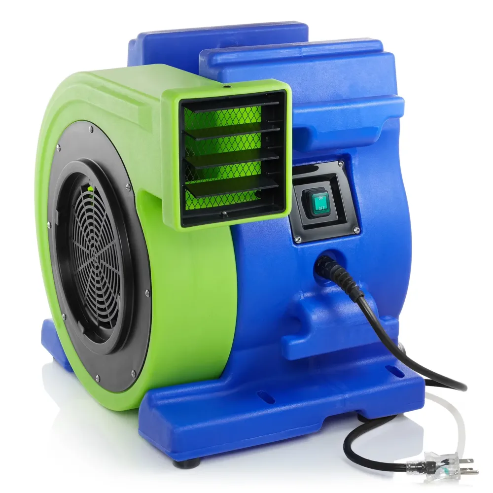 Backyard Play 2 hp 120 volts 6"