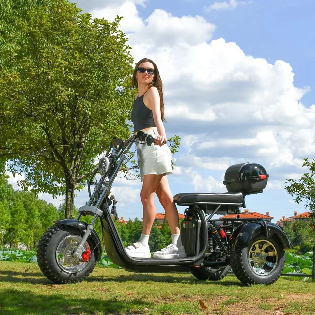 Kids Bikes 3000w 440 pounds 60v