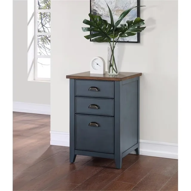 File Cabinet blue 20" 30"