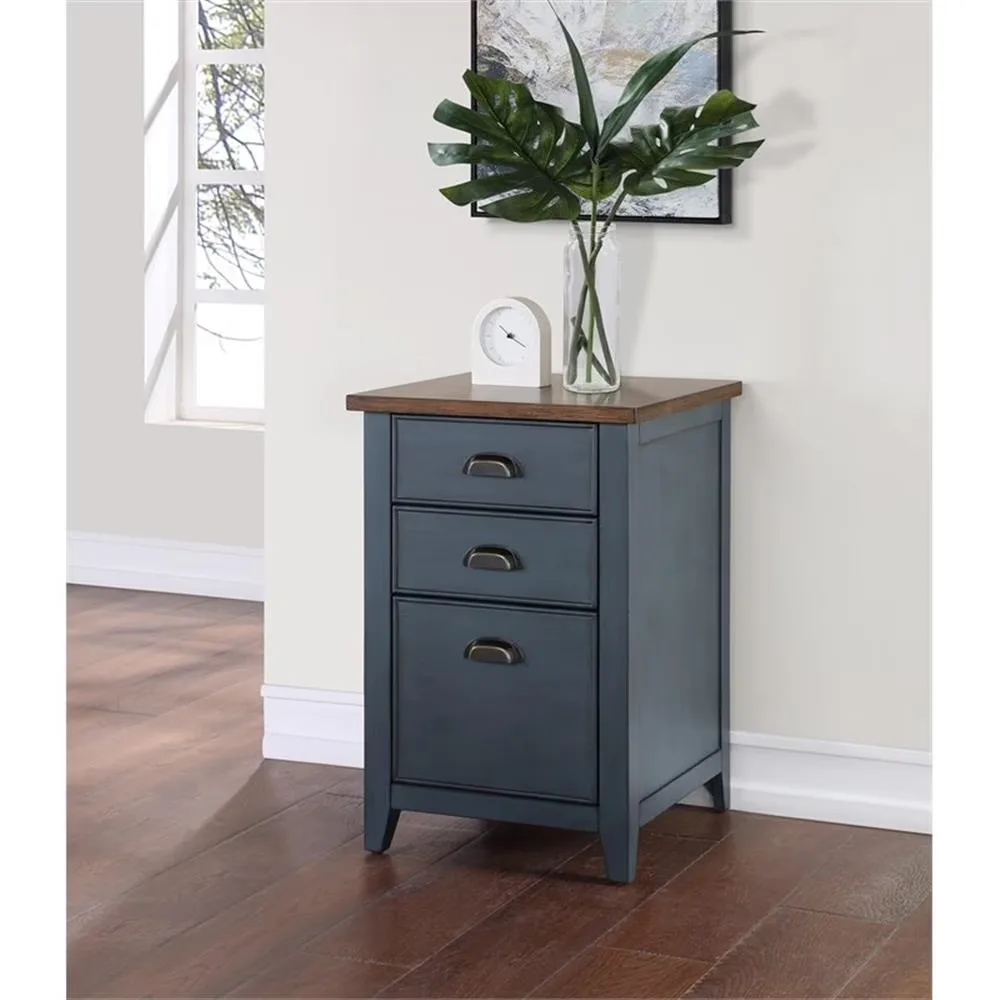 File Cabinet blue 20" 30"