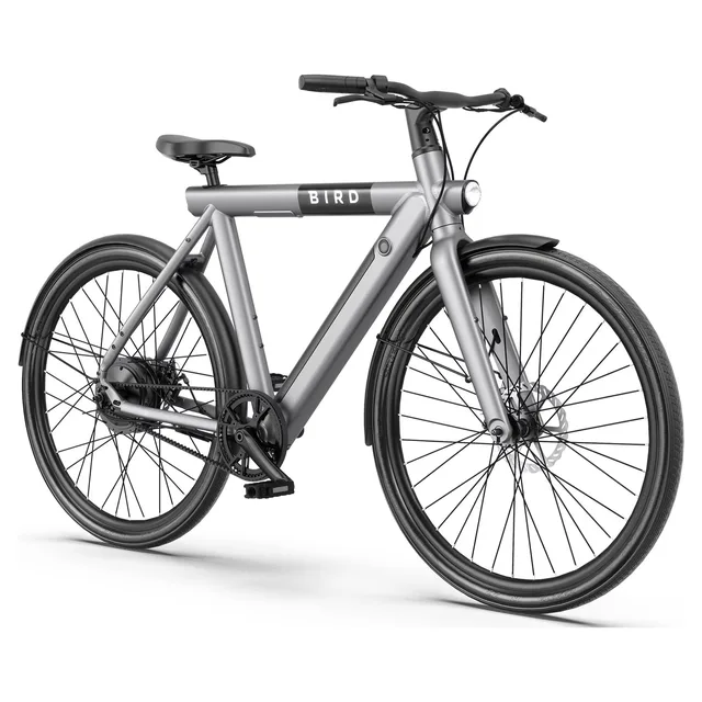 Removable Battery 500 watt gray 500w