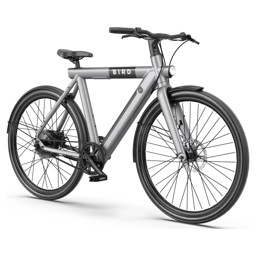 Removable Battery 500 watt gray 500w