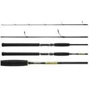 Spinning Rod 0" 2-3 oz 10-20 lb