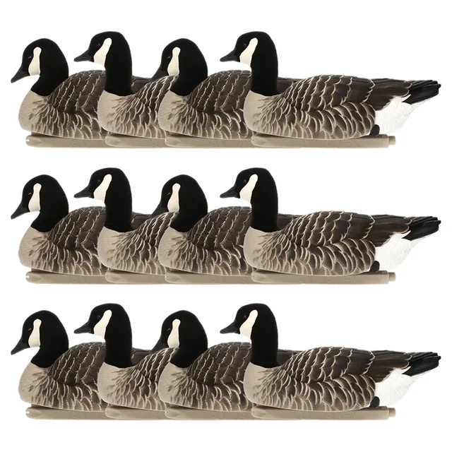 Rangefinders 12 pack 12.50 inches 11.80 pounds