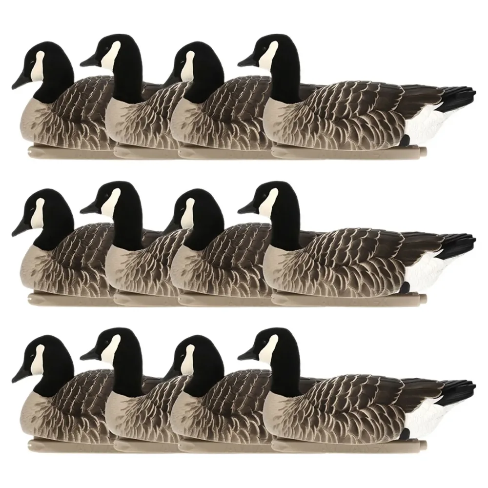 Rangefinders 12 pack 12.50 inches 11.80 pounds