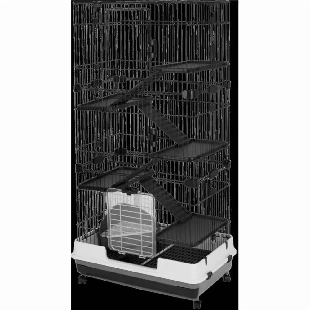 Bird Care 57 in 2mm black