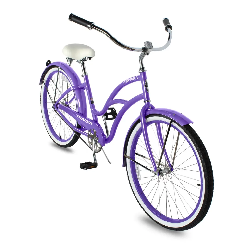 Steel Frame 26 in 26" 125"