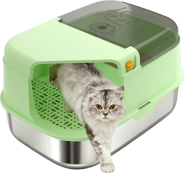 Cat Litter 1 inch grey green
