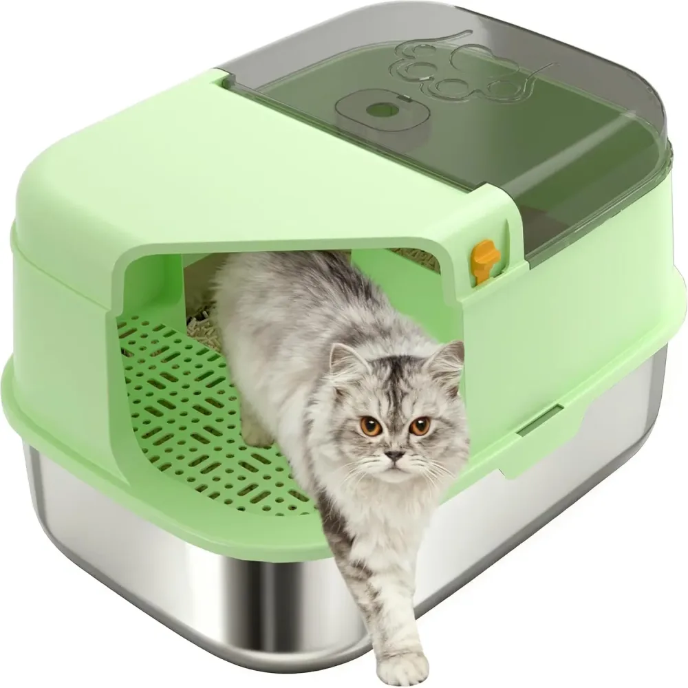 Cat Litter 1 inch grey green