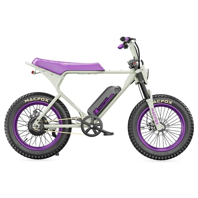 Electric Bike 500w 750w 20"
