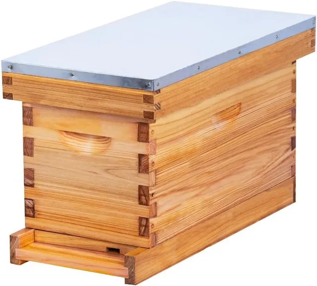 Box 19.9" 9" 9.5"