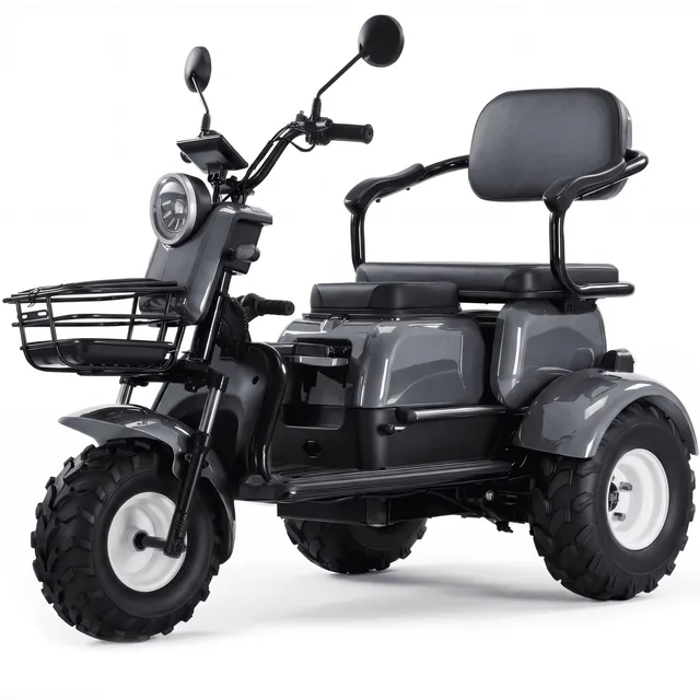 Electric Scooter 440lbs grey 800w