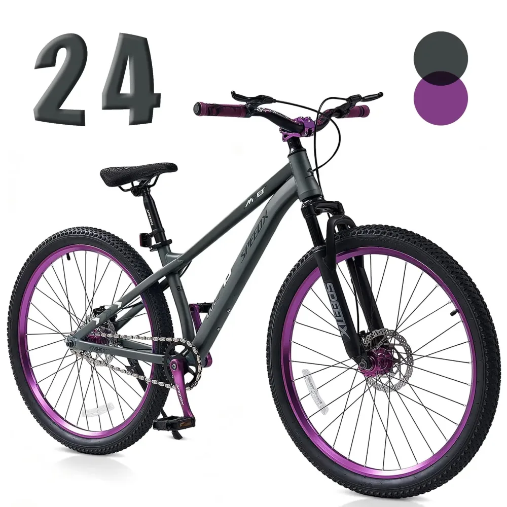 Mountain Bike 26 inch 24 in gray