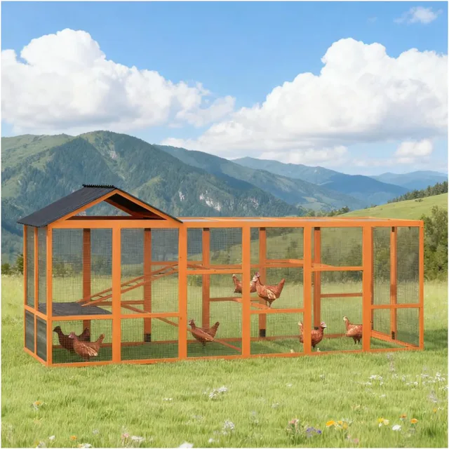 Chicken Coop orange 141.75" 48"