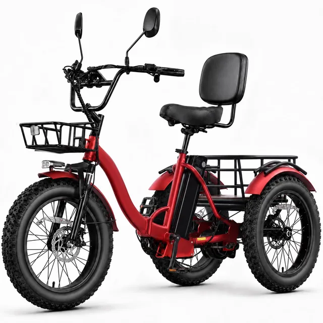 Electric Tricycle 750w 48v folding