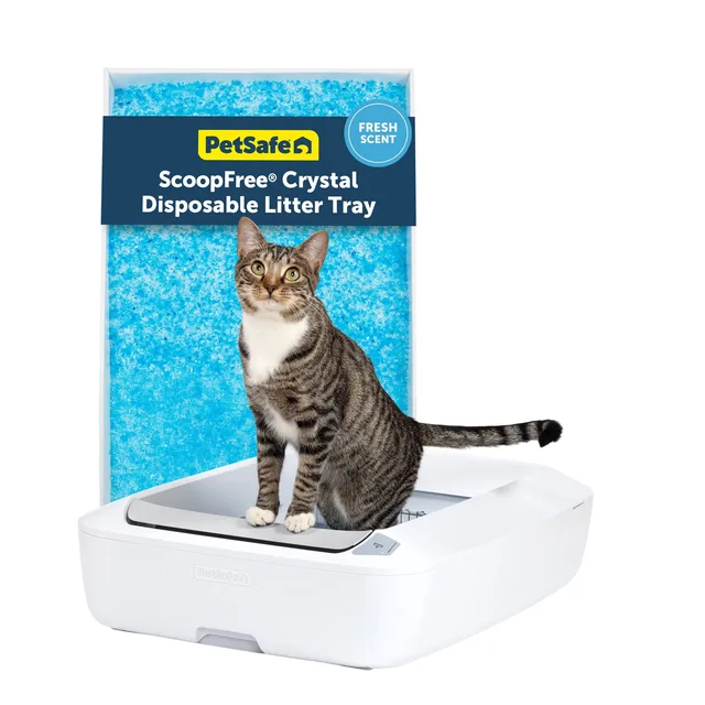 Cat Litter
