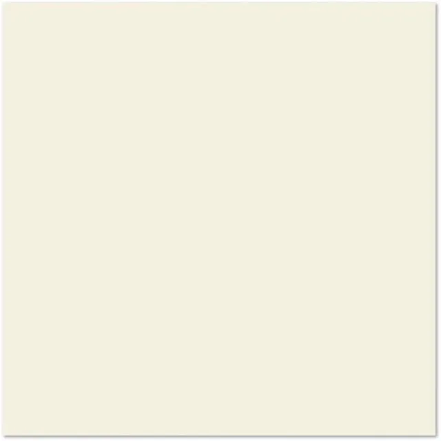 Paper Products 100lb 12 in 12"