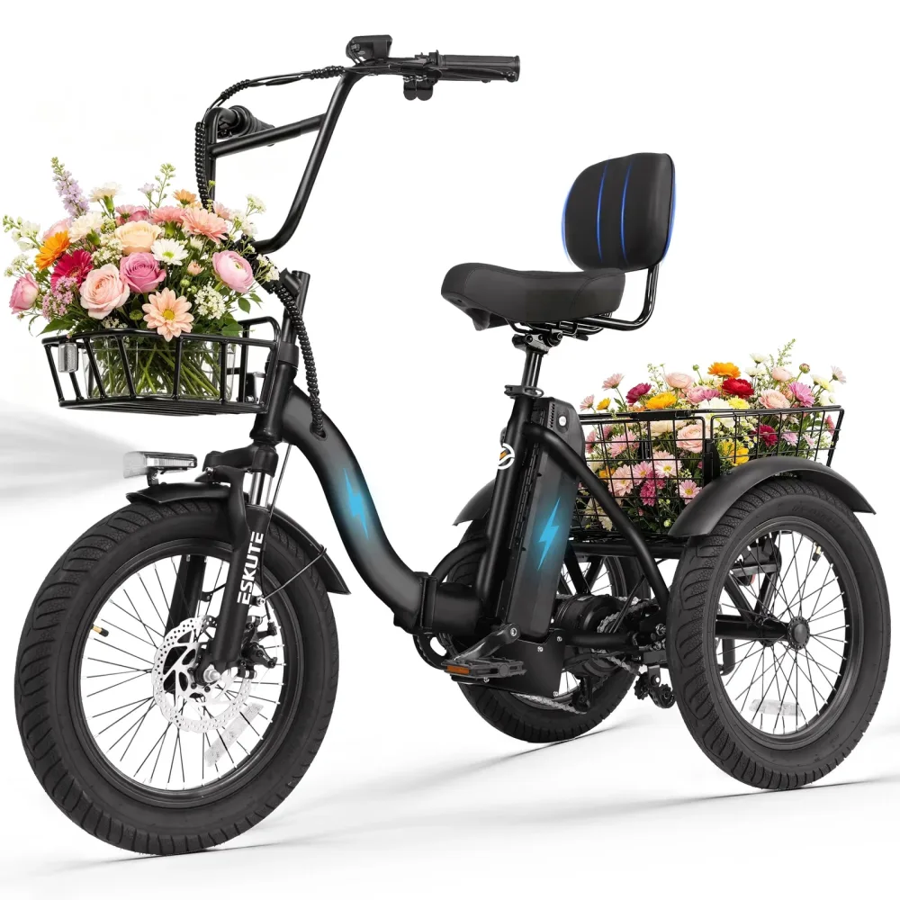 Electric Bicycle 18" 3.0" folding