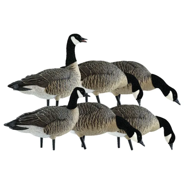 Hunting 16.50 inches 20 pounds 6pack