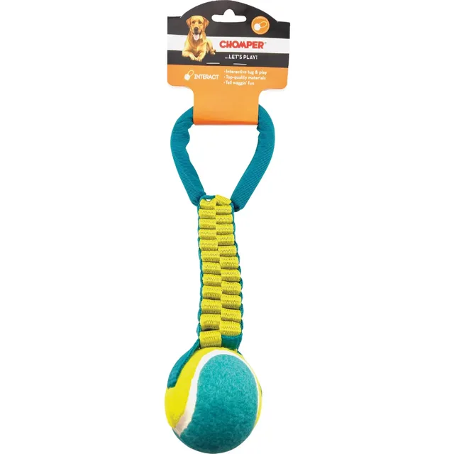 Dog Toy