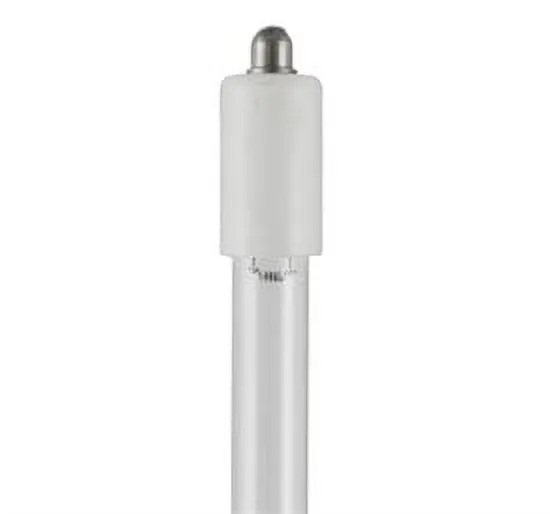 Light Bulb