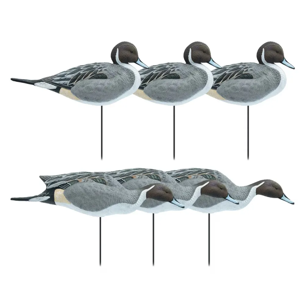 Hunting Gear 6 pack 16 inch