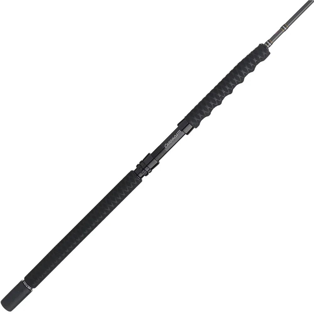 Rod Fishing 6' 6" 30-50 pound