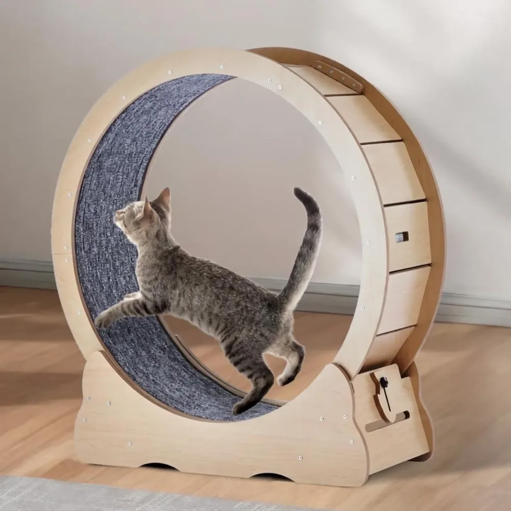 Cat Treadmill 35.8 in 35.8 inch 31.5 inch