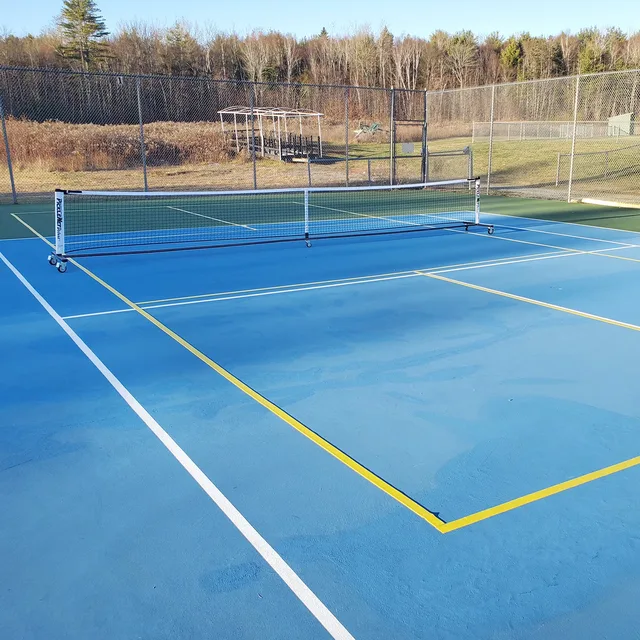 Pickleball 2" 43.8 inch 20 inch