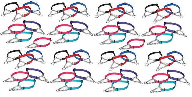 Dog Collar 16 inch 26 inches adjustable